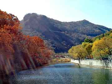 新澳天天开奖资料大全旅游团，浮爱